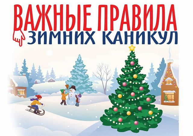 foto 29 12 2020 16 27