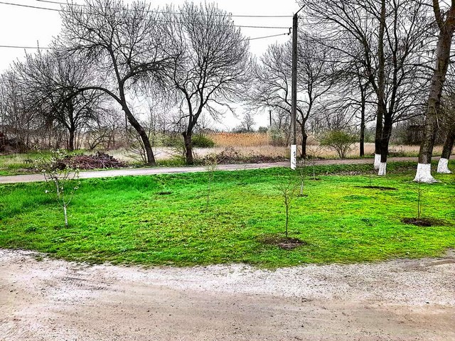 foto 2025 04 03 11 33 003