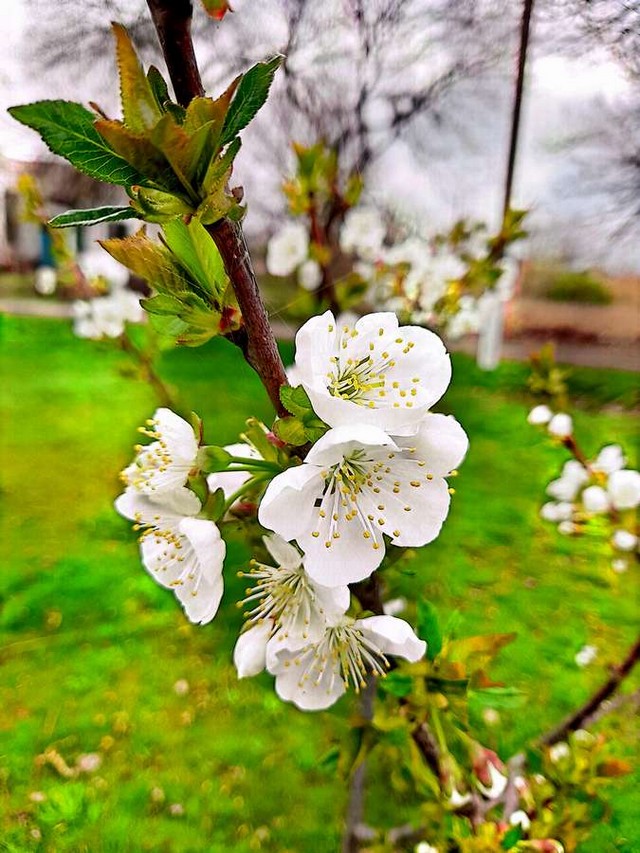foto 2025 04 03 11 33 006