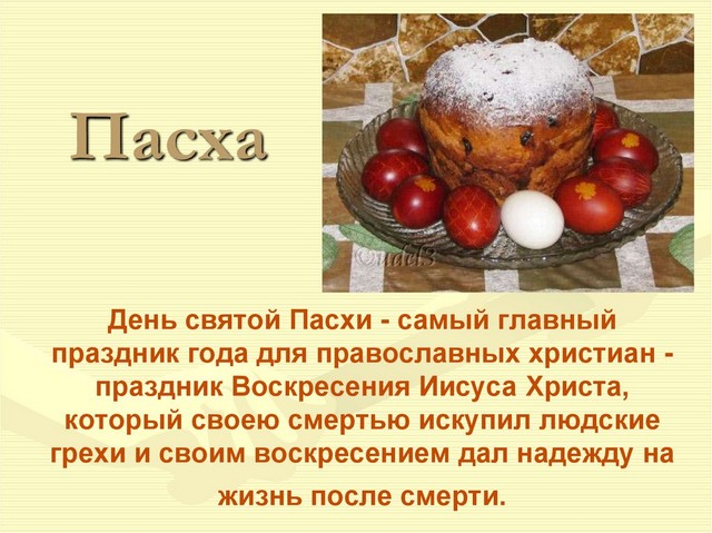 foto 2025 04 21 08 08 002