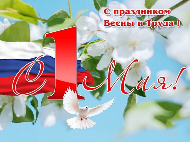 foto 2025 06 05 17 57 5